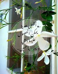 زهور الياسمين ذات الرائحة المنعشة Nan Plants Layout Pictures