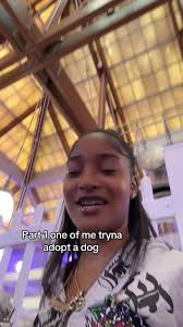 Adopting A Dog: Part 1 of a Heartwarming Journey