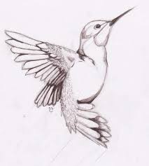 12 Bird Sketches Images Sketch Drawingpencilwiki Com In 2020 Bird Pencil Drawing Bird Sketch Bird Drawings