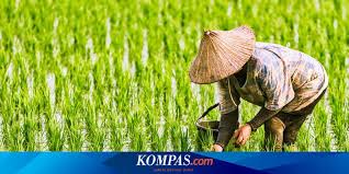 Menarik minat masyarakat ulu tomani untuk mengenali agama kristian. Sda Melimpah Mengapa Petani Indonesia Sulit Untuk Sejahtera Halaman All Kompas Com