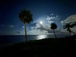 TheMovieStarNextDoor - FAMIGO