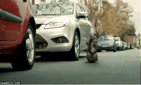 If you would like to give more than £25 please enter your gift amount below. Who Says Cats Aren T Helpful Senor Gif Pronounced Gif Or Jif