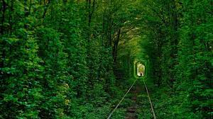 تُعدّ أوكرانيا أكبر دولة داخل أوروبا بالكامل، حيث تبلغ مساحتها الإجمالية 603700 كم²٣٤ وتمثل 0.4 ٪ من مساحة. Ø§Ù„Ø³ÙŠØ§Ø­Ø© ÙÙŠ Ø£ÙˆÙƒØ±Ø§Ù†ÙŠØ§ Ø¯Ù„ÙŠÙ„Ùƒ Ø§Ù„Ø³ÙŠØ§Ø­ÙŠ Ù„Ø£Ø¬Ù…Ù„ Ø§Ù„Ø£Ù…Ø§ÙƒÙ† ÙÙŠ Ø£ÙˆÙƒØ±Ø§Ù†ÙŠØ§ Ø§Ù„Ø³Ø§Ø­Ø±Ø©