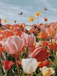 Prints A Map Of Dreams Flower Aesthetic Flower Phone Wallpaper Tulip Season