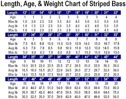 28 described google weight conversion chart