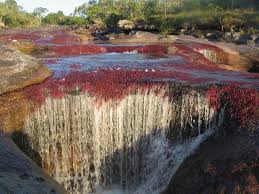Check spelling or type a new query. Cano Cristales Experience Travelombia