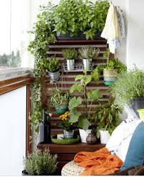 Balcony Outside Of My Room House Plants Indoor Diy Patio Fence Decor