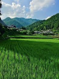 beautiful places おしゃれまとめの人気アイデア pinterest anmol 夏 風景 田舎 風景 風景