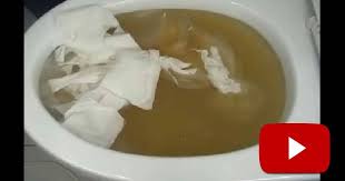 Here S The Most Genius Solution To A Clogged Toilet I Ve Seen Brilliant Just A Joke For Us Crohnies Ou Clogged Toilet How To Unclog Toilet Stopped Up Toilet