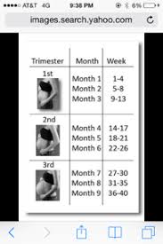 18 Weeks 5 Months July 2015 Babies Forums What To