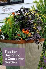 How To Arrange Plants In Containers 7 Design Tips Plants Diy Container Gardening Gardening For Dummies
