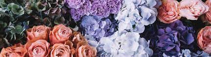Over $2 million in annual income. Younger And Son S Wholesale Floral Supplies Montgomeryville Pa Montgomeryville Acura
