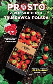 Przymrozki i zimny maj wyjątkowo dały się we znaki truskawkom, orzechom włoskim, ale też ziemniakom, kabaczkom i fasoli. Biedronka 12 06 2020 W Tym Tygodniu Truskawki