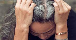 Everything you need to know about going gray. What Causes Gray Hair Grey Hair Coverage L Oreal Paris