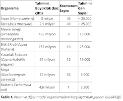 Karsilastirmali Genomik Bilimi Evrim Agaci