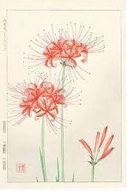 When a death occurs in japan, knowing how to comfort those left behind is not easy and sending funeral flowers can be sometimes even more difficult.what is. Japanese Flowers Meaning Hanakotoba èŠ±è¨€è'‰ Bangkok Tattoo Studio 13 Thailand