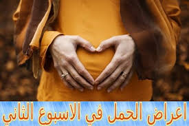 Pin On الحمل