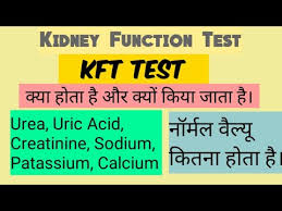 Kft Test Report Explain In Hindi Kidney Function Test Youtube