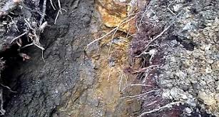 Tanahnya mengandung mineral sulfida, dan kita akan merasakan hawa belerang disekitar tempat tersebut. Ketahui 8 Ciri Ciri Tanah Yang Mengandung Emas Berbagi Cerita Dan Berita