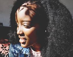 Sonya Stern in USA :: Behance