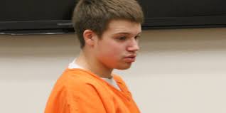 Pinckney teen jailed for sexual assault wants out early