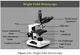 You need to find the perfect balance between contrast and the total image size and brightness you will get. Bright Field Microscope