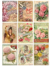 Vintage Cards Free Jodie Lee Designs Free Printable Download Vintage Seed Packet Cards Free Vintage Printables Flower Seeds Packets Vintage Printables