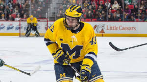 Luke, jack and quinn (no. Hughes First Of Three Brothers Expected To Be Nhl Draft Selection