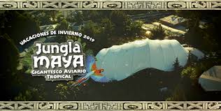 Buin zoo 2019 buin marino dino zoo chile. Buin Zoo Inauguro Aviario Tropical Para Disfrutar Estas Vacaciones