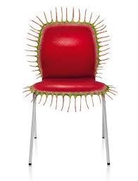 Artofgardening Org My Gardening Christmas List If It S Not Too Late Chair Venus Fly Trap Cool Chairs