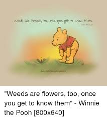 Weeds Are Flowegs Too Ong You Get To Know Them Wwnie The Poon Paintingby Rebeccacoopercom Weeds Are Flowers Too Once You Get To Know Them Winnie The Pooh 800x640 Weed
