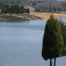 Check spelling or type a new query. Fishing Cabins On Douglas Lake Tennessee