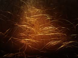Clean hair prevents skin irritation or inflammation. Hair Care Wikipedia