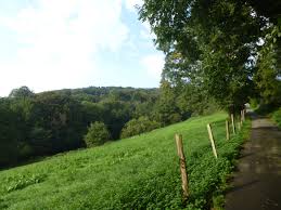 Für uns beide hatte ich aus der serie wanderungen für die seele, bergisches land die strecke nr. Tour 578 Velbert Langenberg Mit Dem A5 An Den Rand Von Langenberg Wanderwegewelt