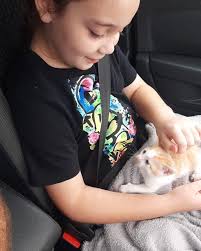 J.Bay Animal Rescue...