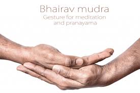 Maybe you would like to learn more about one of these? Where Should Hands Be During Meditation 5 Types Of Mudras With Pictures High Vibes Haven