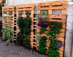 Jardin Vertical Pallets Barnizados Jardines Verticales Jardines Jardin Con Palets