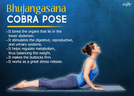 Bhujangasana The Cobra Pose Easy Yoga Workouts Wellness Yoga Yoga Benefits