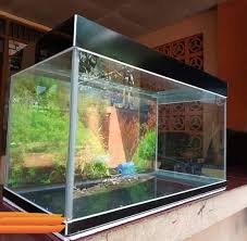 Bagian yang transparan digunakan untuk memelihara ikan, bagian lainnya untuk tempat tanaman hias. Ikan Hias Weleri Kendal Home Facebook