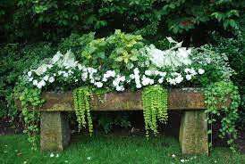 See more ideas about art painting, canvas painting, night painting. At A Glance Great In The Shade Dirt Simple Summer Planter White Gardens Container Gardening