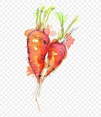 Watercolor Painting Drawing Ink Sketch Png 564x948px Watercolor Painting Art Beet Carrot Drawing Download Free Free icons of draw in various ui design styles for web, mobile, and graphic design projects. watercolor painting drawing ink sketch