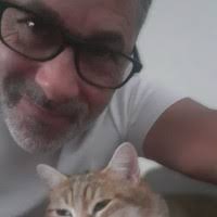 10 "Ted Navarro" profiles