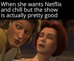 The Best Netflix And Chill Memes Memedroid