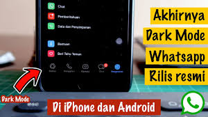 Cara Setting Dark Mode Official Whatsapp Di Iphone Android Youtube