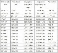 Matter Of Fact Pixel To Inch Chart 2019