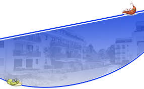 A rodent infestation is usually a nightmare for any business because of the negative impact it. About All Pro Pest Control Inc Santa Clarita Exterminators