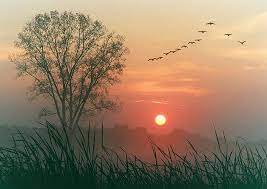 However, there is also a formal definition that refers to specific moments during that transition. One Day Dawn Amita Basu
