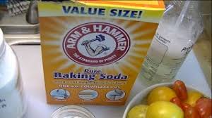 A dewormer will be needed to rid your dog of the worms that live inside of her intestines, and an additional sanitization of the immediate environment is needed to kill additional worms and eggs, which can live in soil and carpet. 10 Faqs About Using Baking Soda For Garden Pests