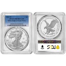 Image result for Atomic Silver 2025 LZ