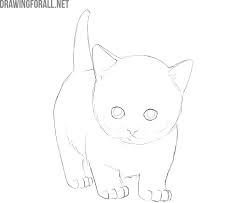 Cute cats and kittens i love cats crazy cats cool cats kittens cutest animals and pets baby animals you'll find photos of cats, funny animated gifs, cute and adorable kittens and kitten gifs, cat cat drawing drawing sketches pencil drawings of animals thing 1 cat boarding dog art. How To Draw A Kitty Cat